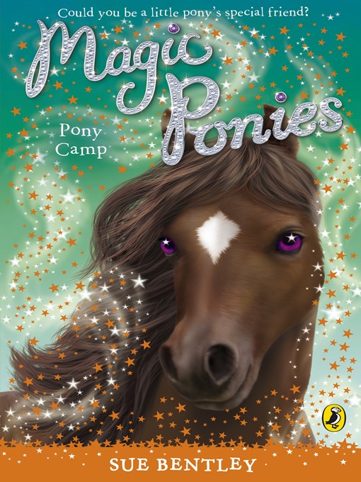 Cover image for Pony Camp